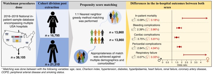 Graphical Abstract