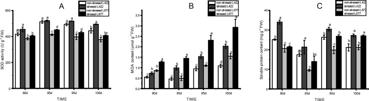 Fig 8