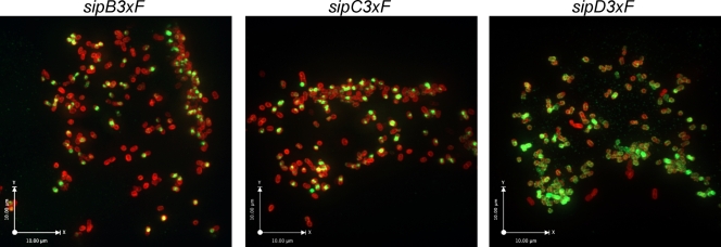 FIG. 6.