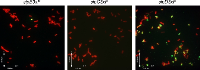 FIG. 5.