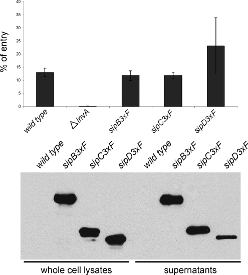 FIG. 4.