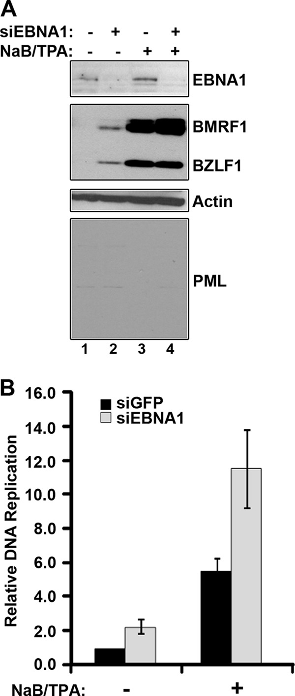 Fig 5