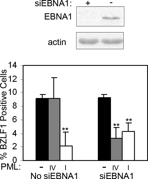 Fig 8