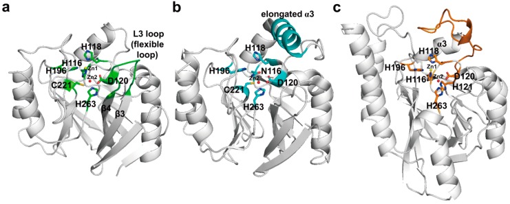 Figure 12