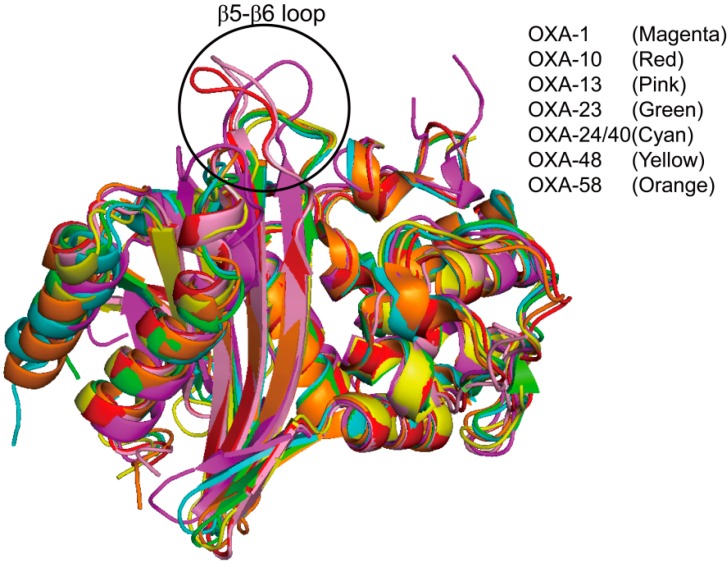 Figure 10