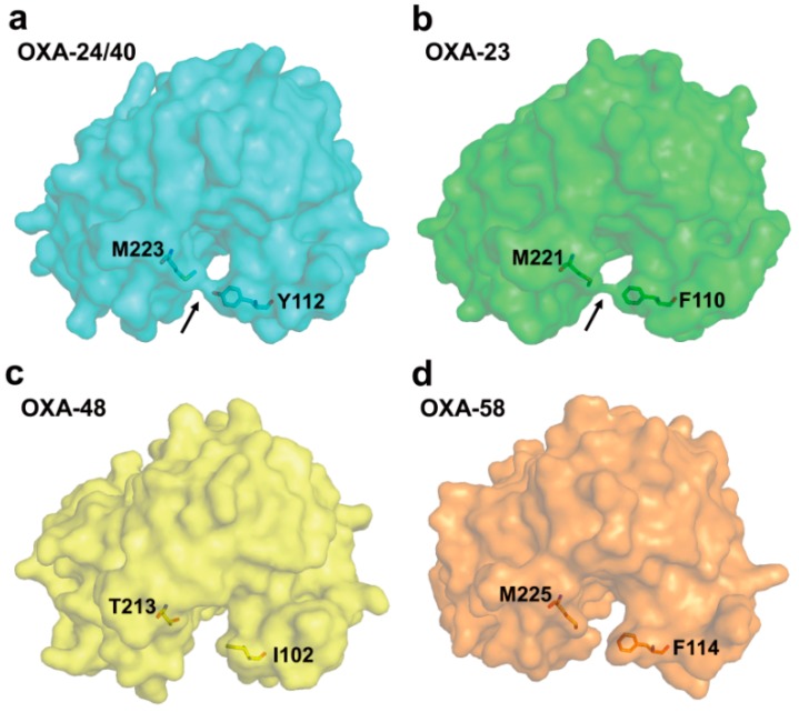 Figure 7