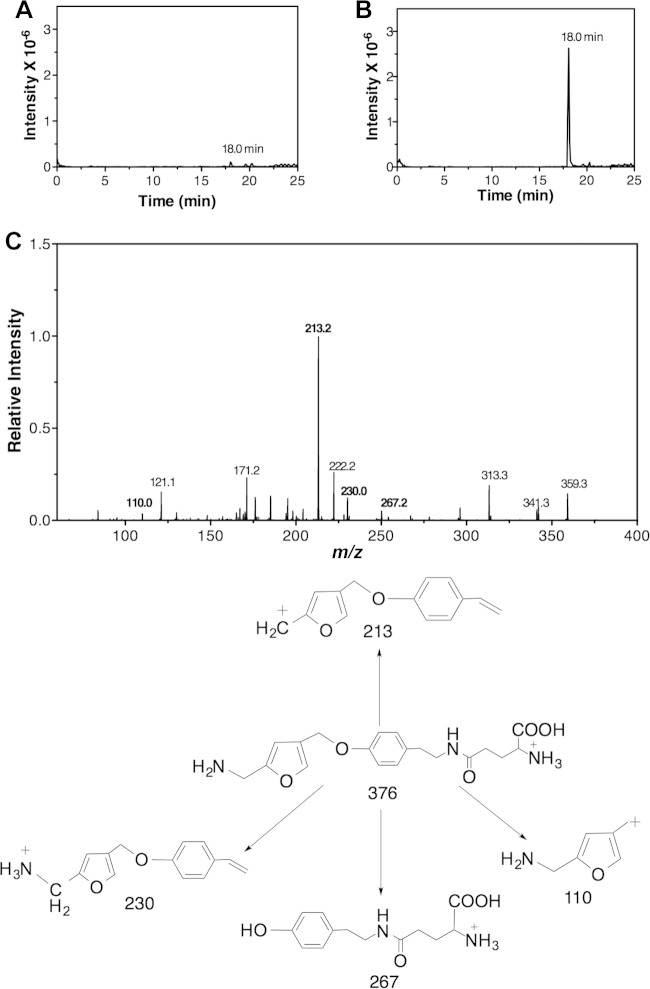 FIG 6