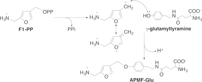 FIG 8