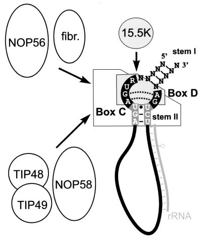 FIG. 6.