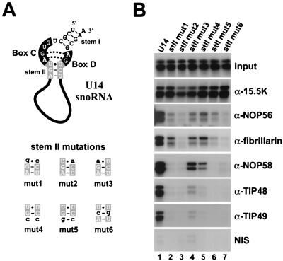 FIG. 4.