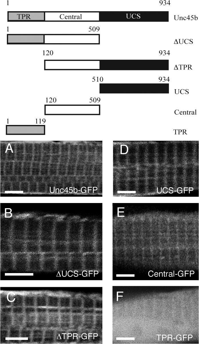 Figure 7.