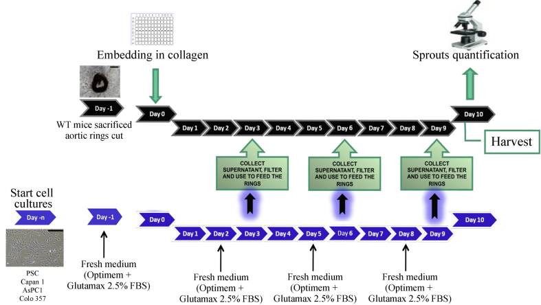 graphic file with name figs1.jpg