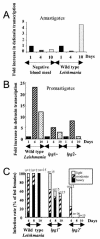 FIG. 6.