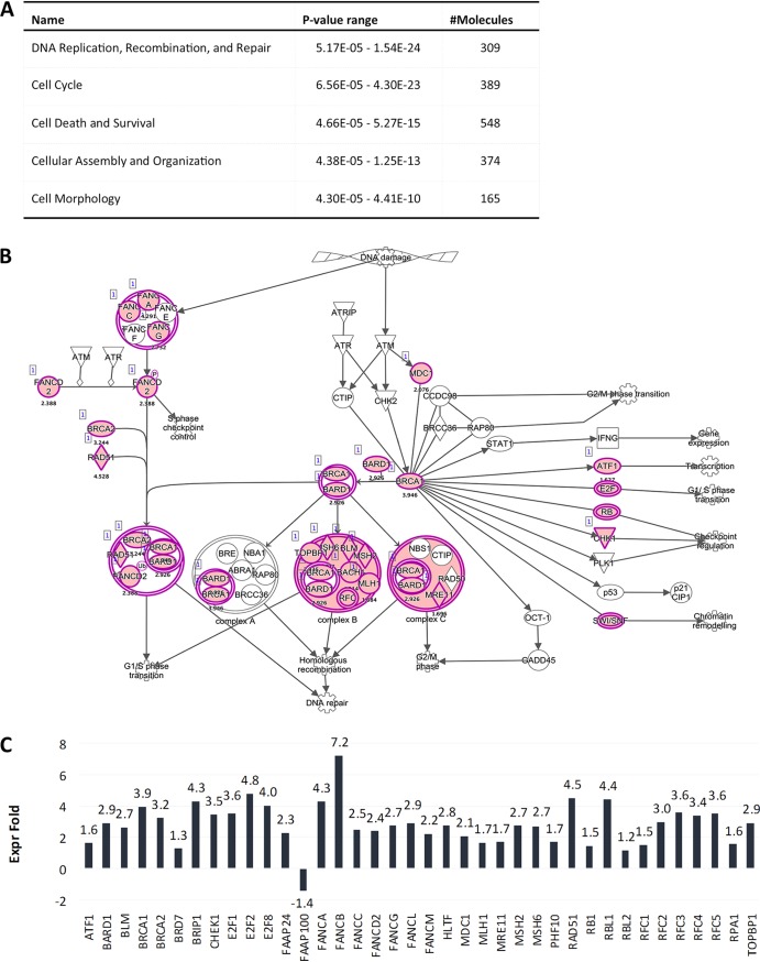 FIG 6