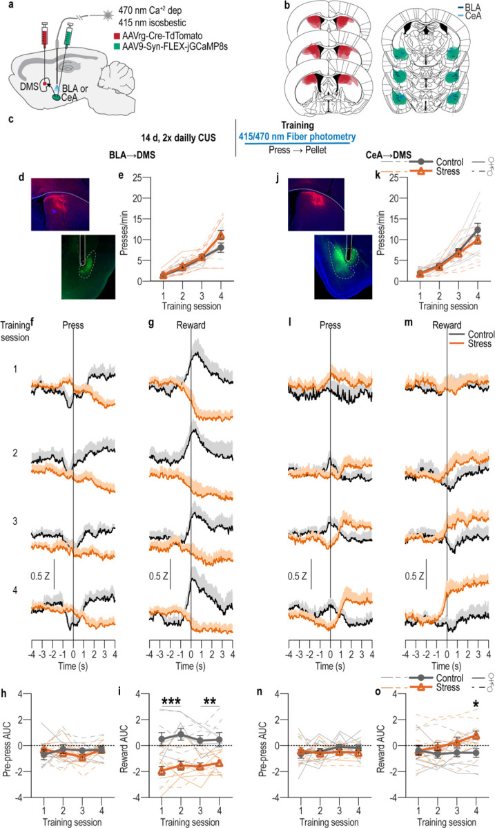 Figure 2:
