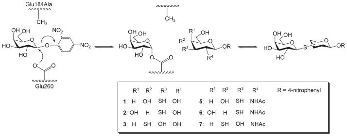 Scheme 1