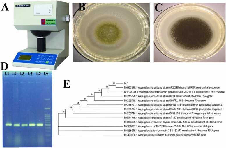 Fig. 2