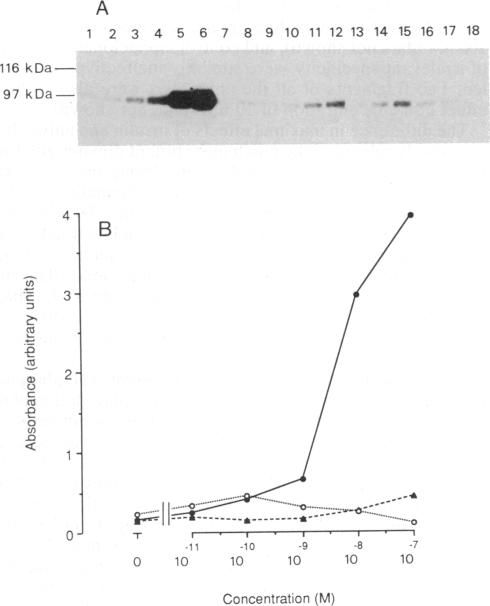 graphic file with name pnas00281-0013-a.jpg