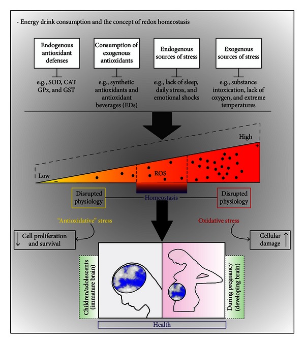 Figure 14