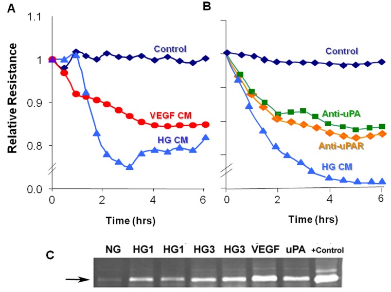 Figure 6