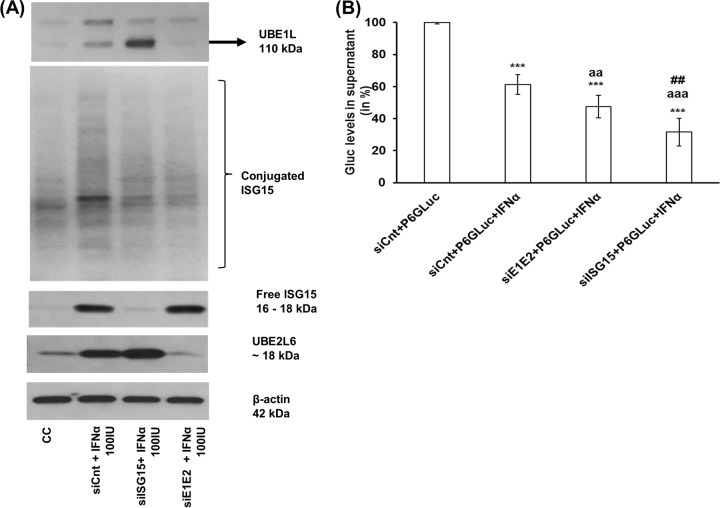 FIG 4