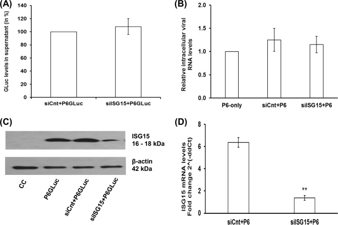 FIG 2