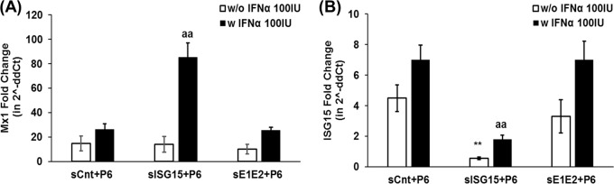 FIG 6