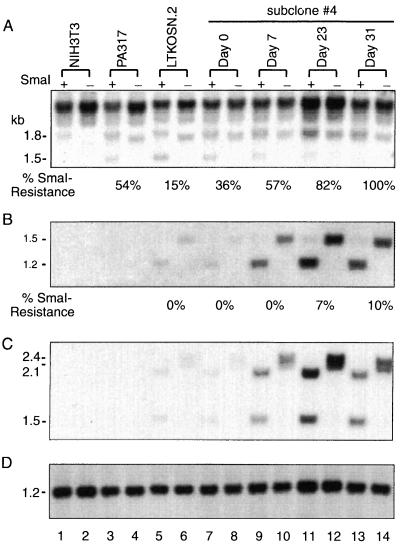 FIG. 8