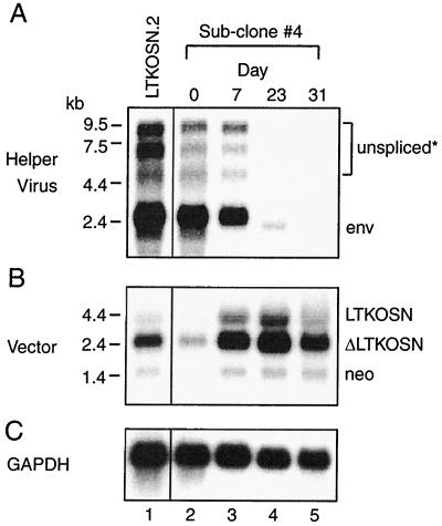 FIG. 9