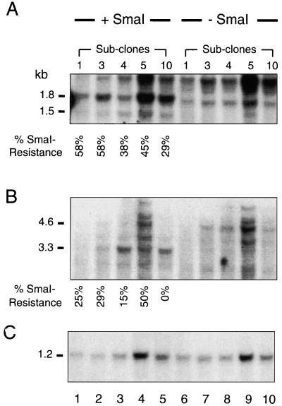 FIG. 7