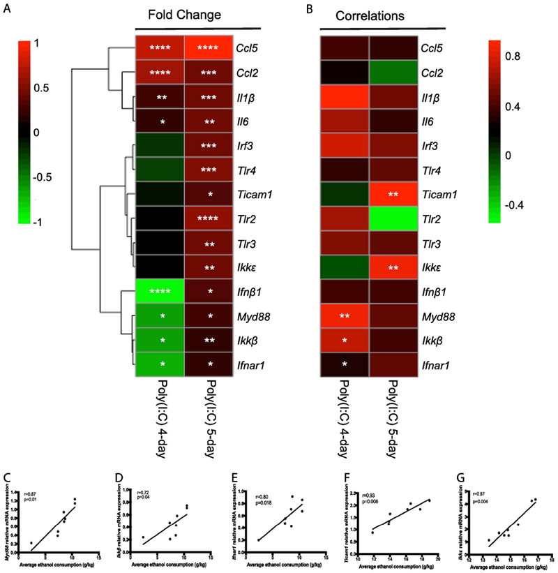 Figure 4: