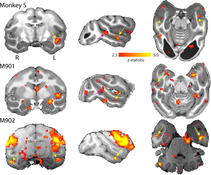 Figure 11.