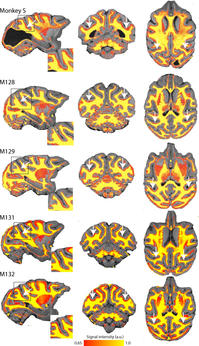 Figure 3.