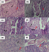 Fig. 2c