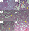 Fig. 2b
