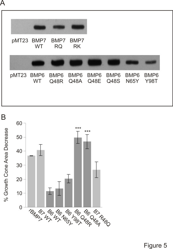 Figure 5