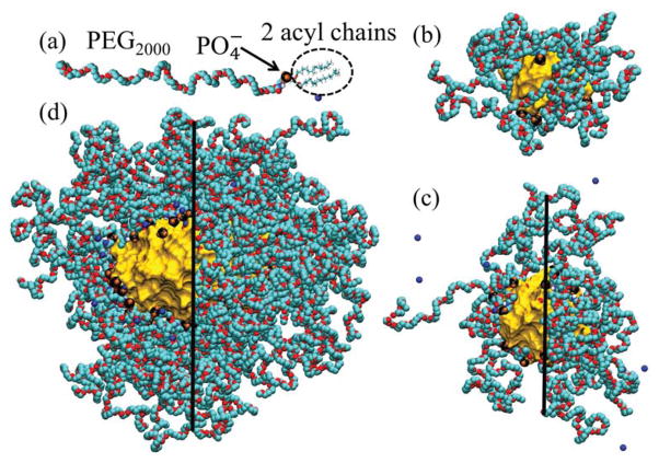 FIG. 1