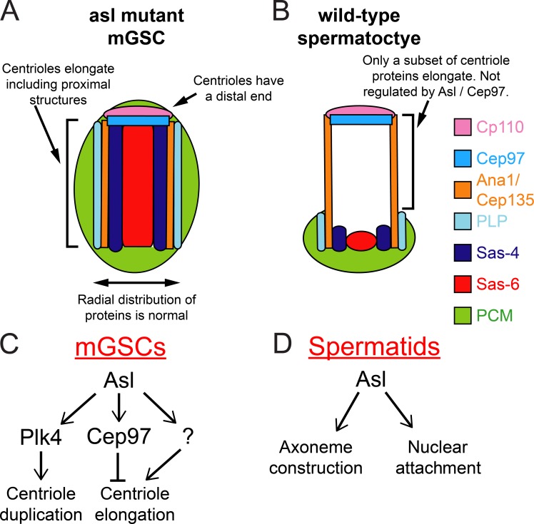 Figure 10.