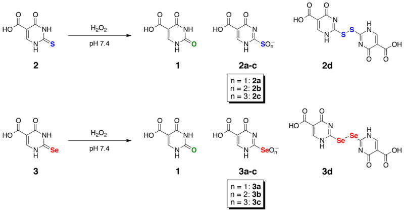 Scheme 2