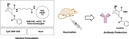graphic file with name nihms-1011818-f0008.jpg