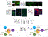 Extended Data Fig. 9 |