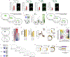 Extended Data Fig. 2 |