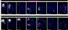 Extended Data Fig. 6 |