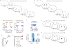 Extended Data Fig. 5 |
