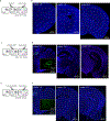 Extended Data Fig. 8 |