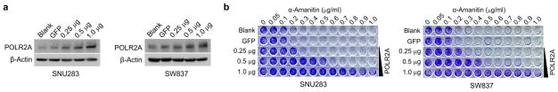 Extended Data Figure 4