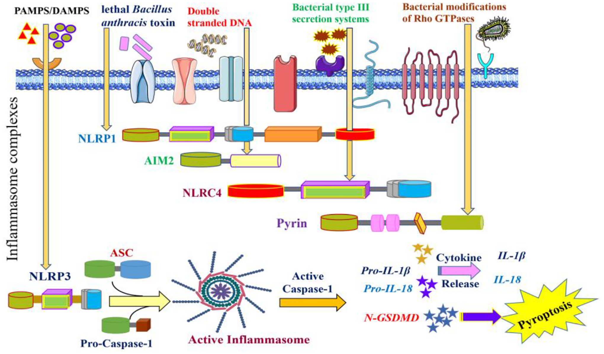 Figure 2: