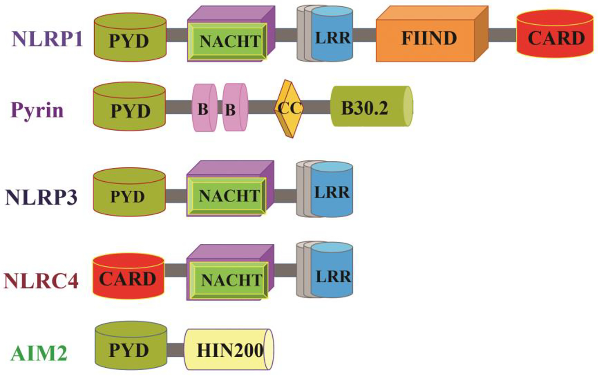 Figure 1: