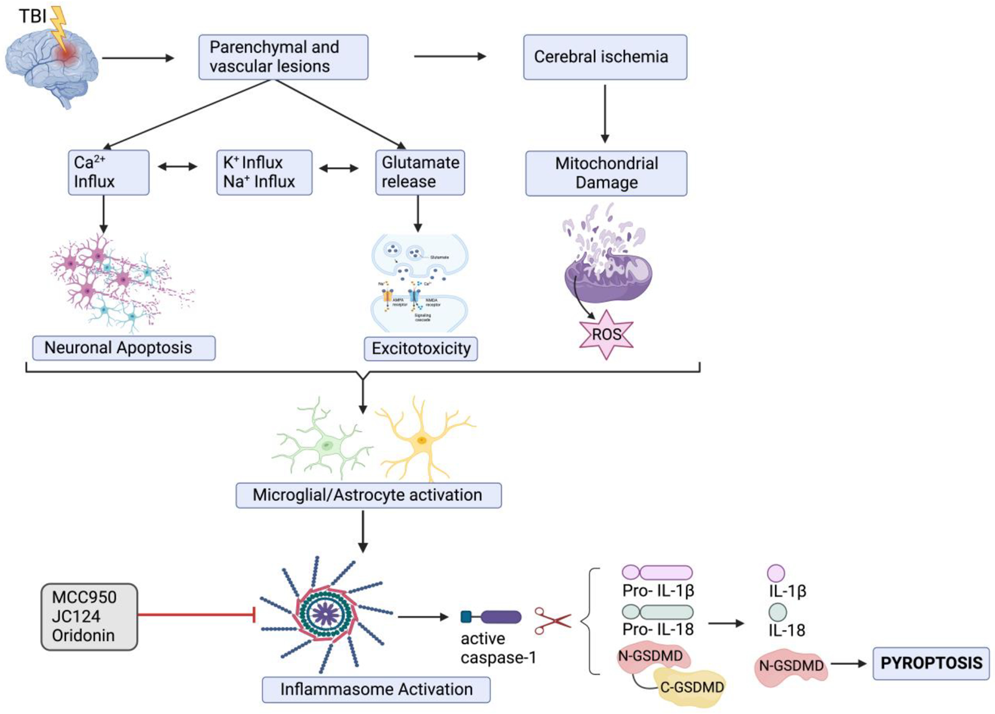 Figure 5: