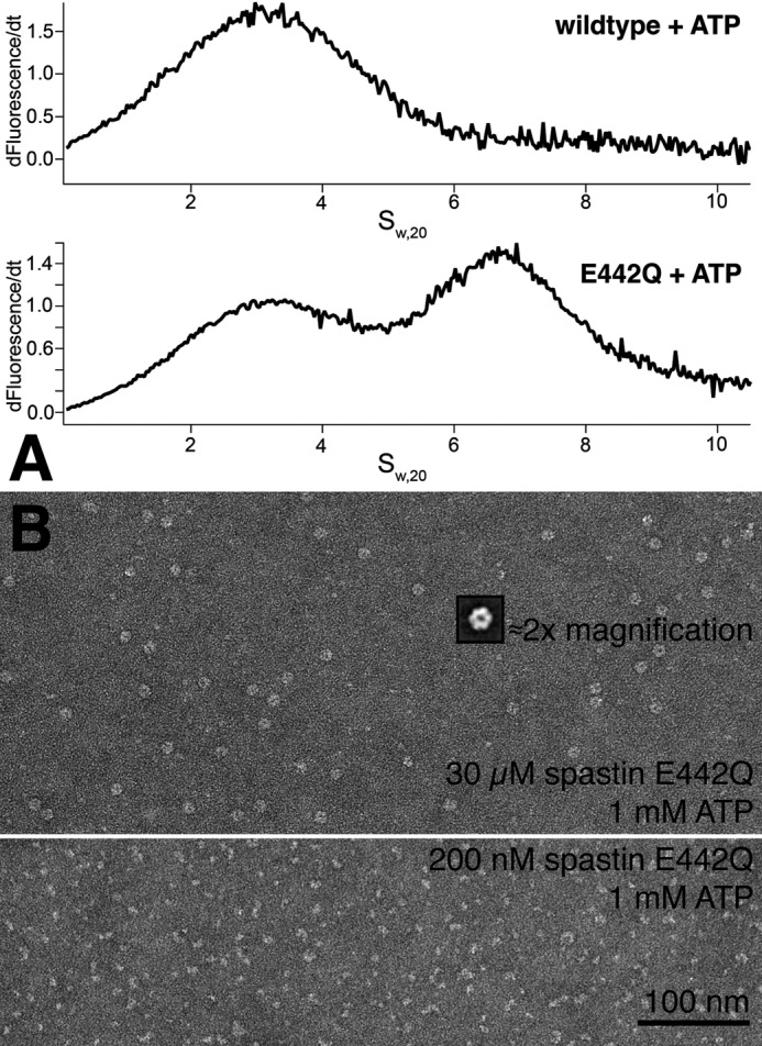 FIGURE 9.